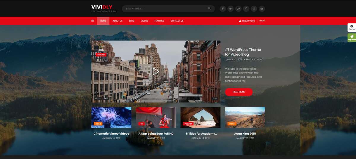 Vividly - The Best Video WordPress Theme