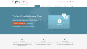 What is WPML?