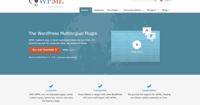 What is WPML?