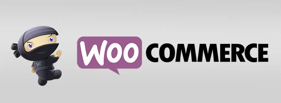 Most Used WordPress Plugin: WooCommerce