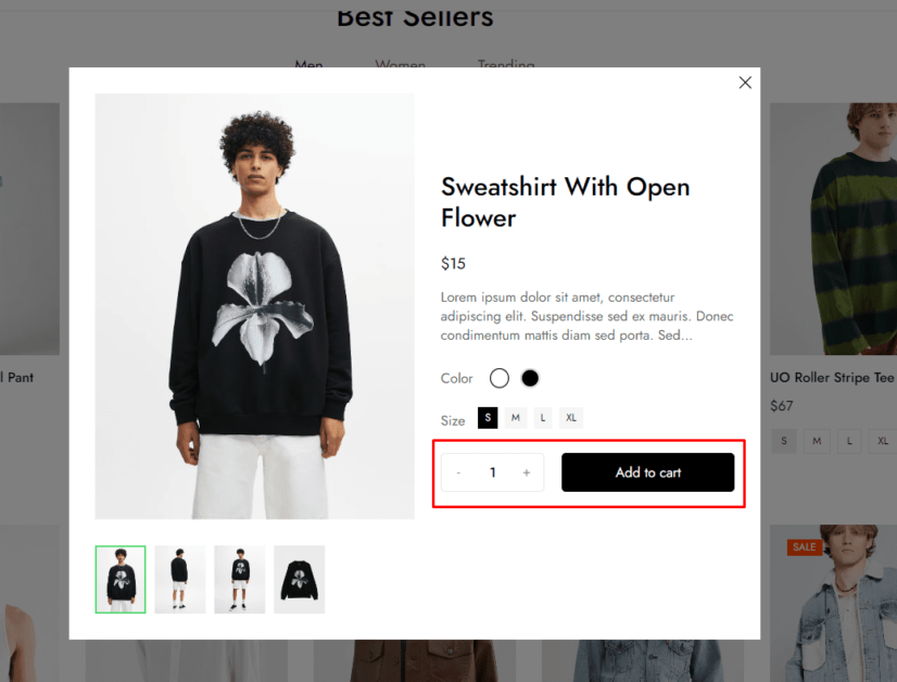 quickview style quantity cart