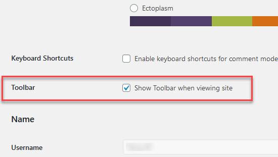 Show Toolbar When Viewing Site