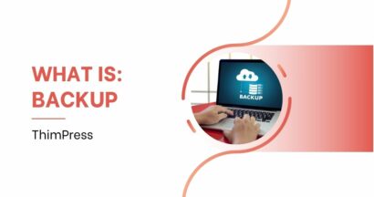 What is a Backup? How to do a backup in WordPress?
