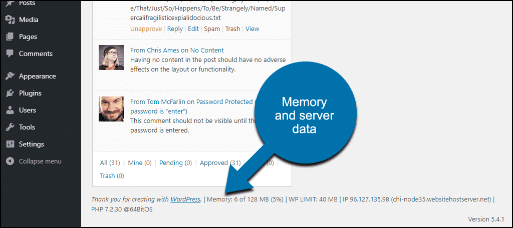 Memory And Server Hata: What is Memory Usage