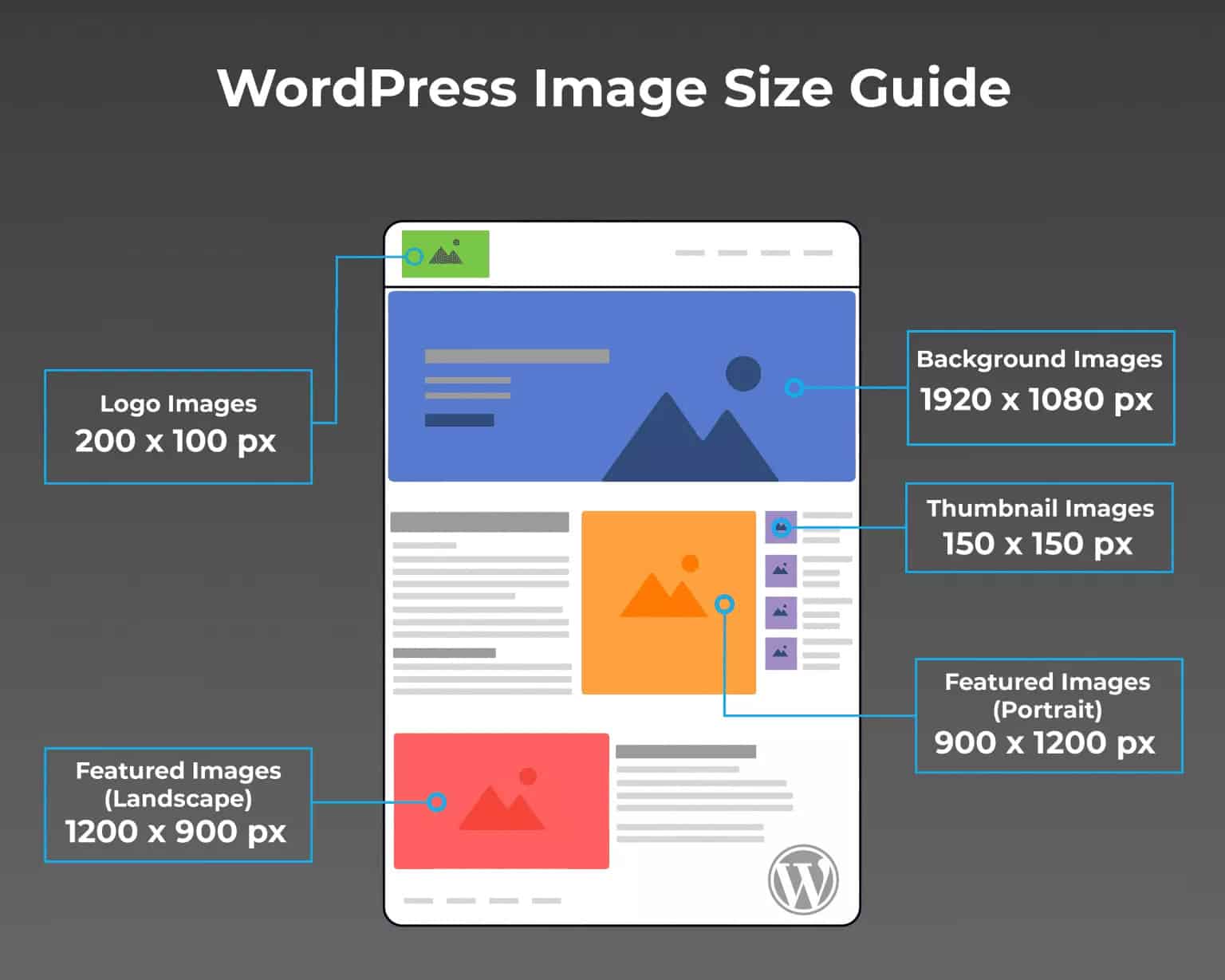 Best WordPress Image Sizes Infographic