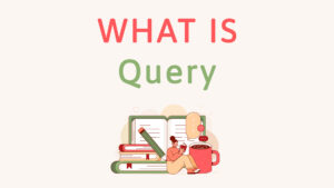 What is a Query in WordPress