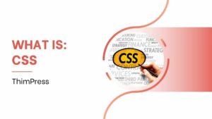 What is CSS? How to use CSS in WordPress?