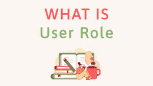 What is a User Role in WordPress