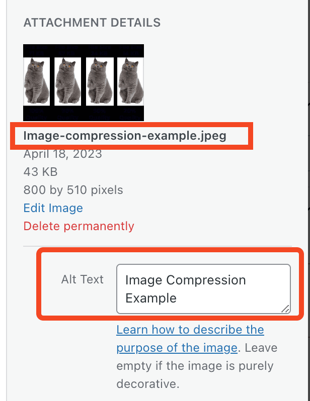 How To Properly Size Images in WordPress (PSI Item)