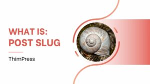 What is Post Slug?