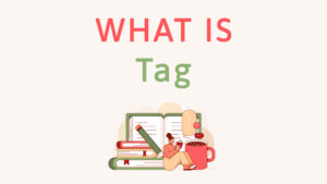 What is Tag in WordPress