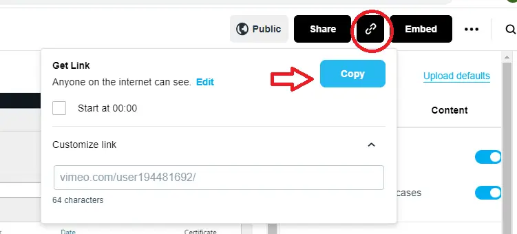 Copy Link Vimeo Video