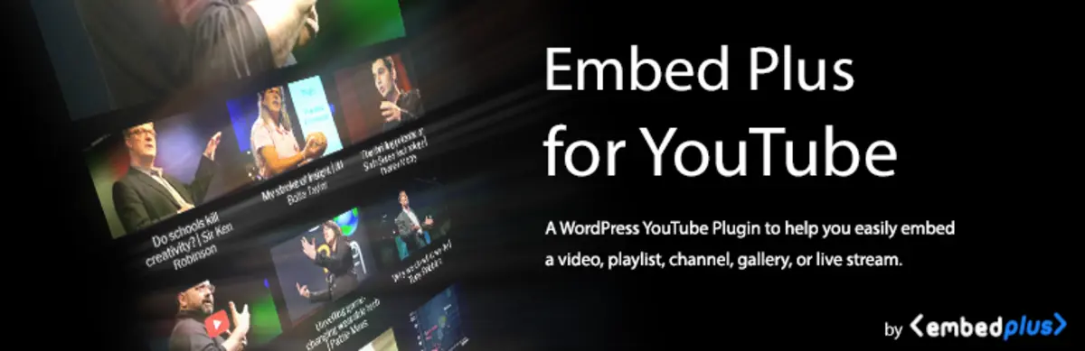 Embed Plus Logo