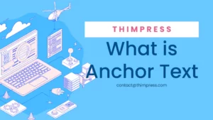 What is Anchor text