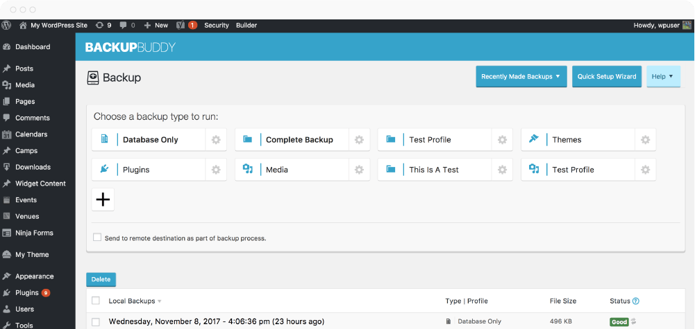 BackupBuddy Premium WordPress Plugin