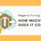 How Much Does Magento Cost?