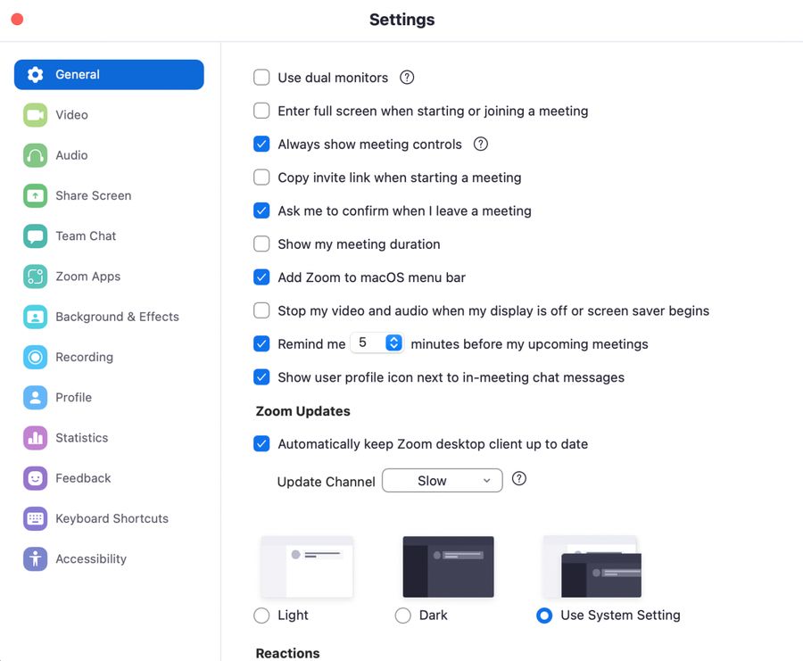 Zoom Settings