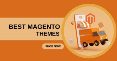 Best Magento Themes