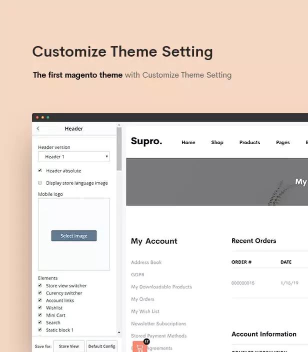 Customize Theme Setting