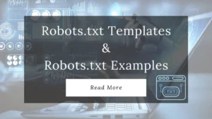 Robots.txt Templates vs Robots.txt Examples
