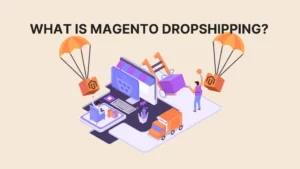 What Is Magento Dropshipping