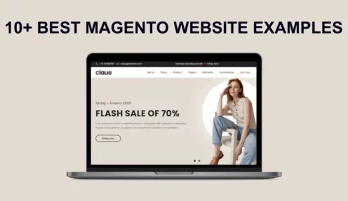 Best Magento Website Examples