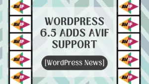 WordPress 6.5 Adds AVIF Image Format