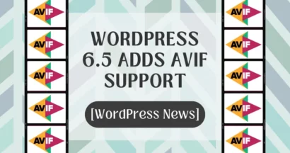 WordPress 6.5 Adds AVIF Image Format