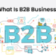 What Is B2B