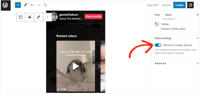 TikTok Resize Video