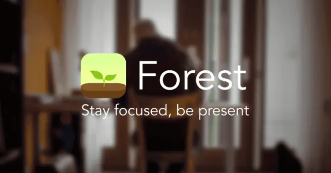 Forest App