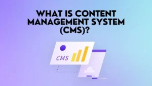 What Is a Content Management System (CMS)?