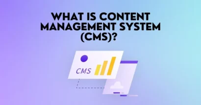 What Is a Content Management System (CMS)?