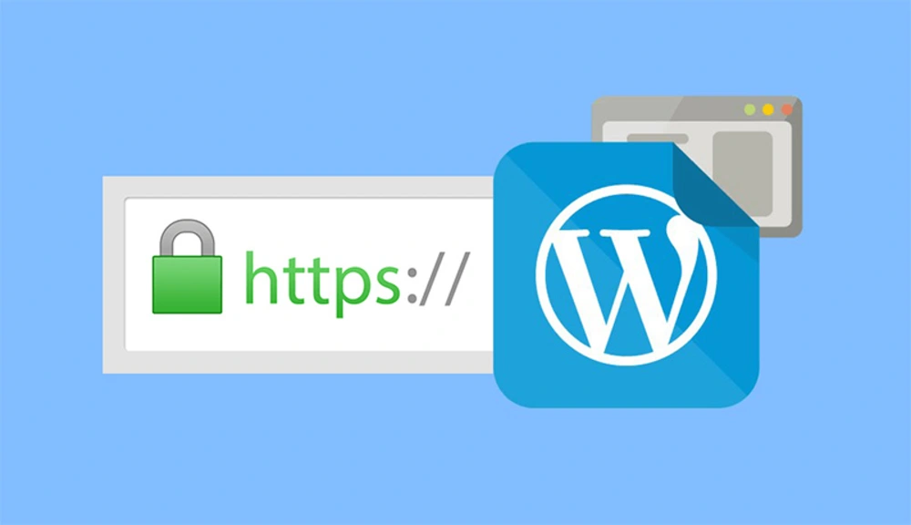 SSL & WordPress