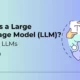 What is a Large Language Model (LLM)?