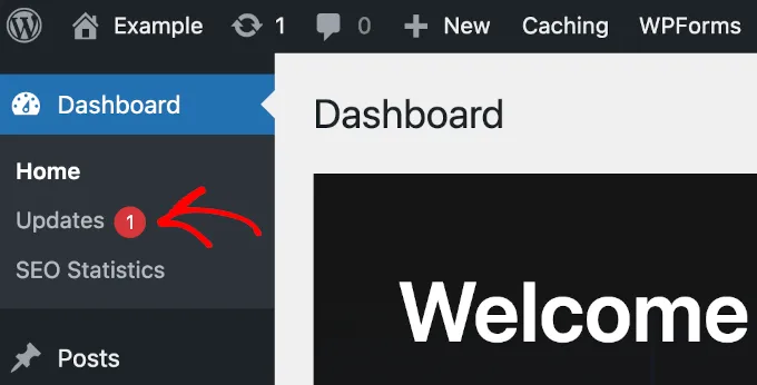 WordPress Dashboard Updates Button