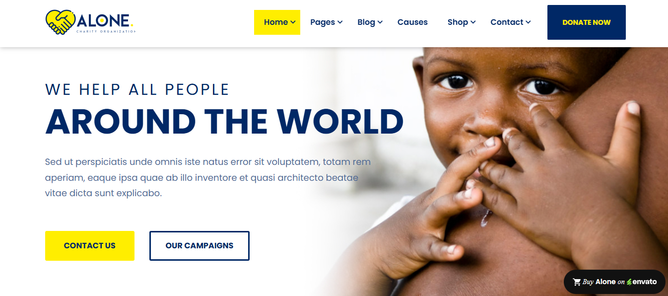 8+ Best Non Profit WordPress Themes 12 Alone