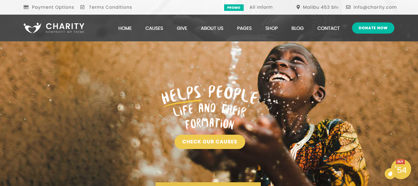 8+ Best Non Profit WordPress Themes 13 Charity Foundation
