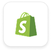 shopify wordpress theme