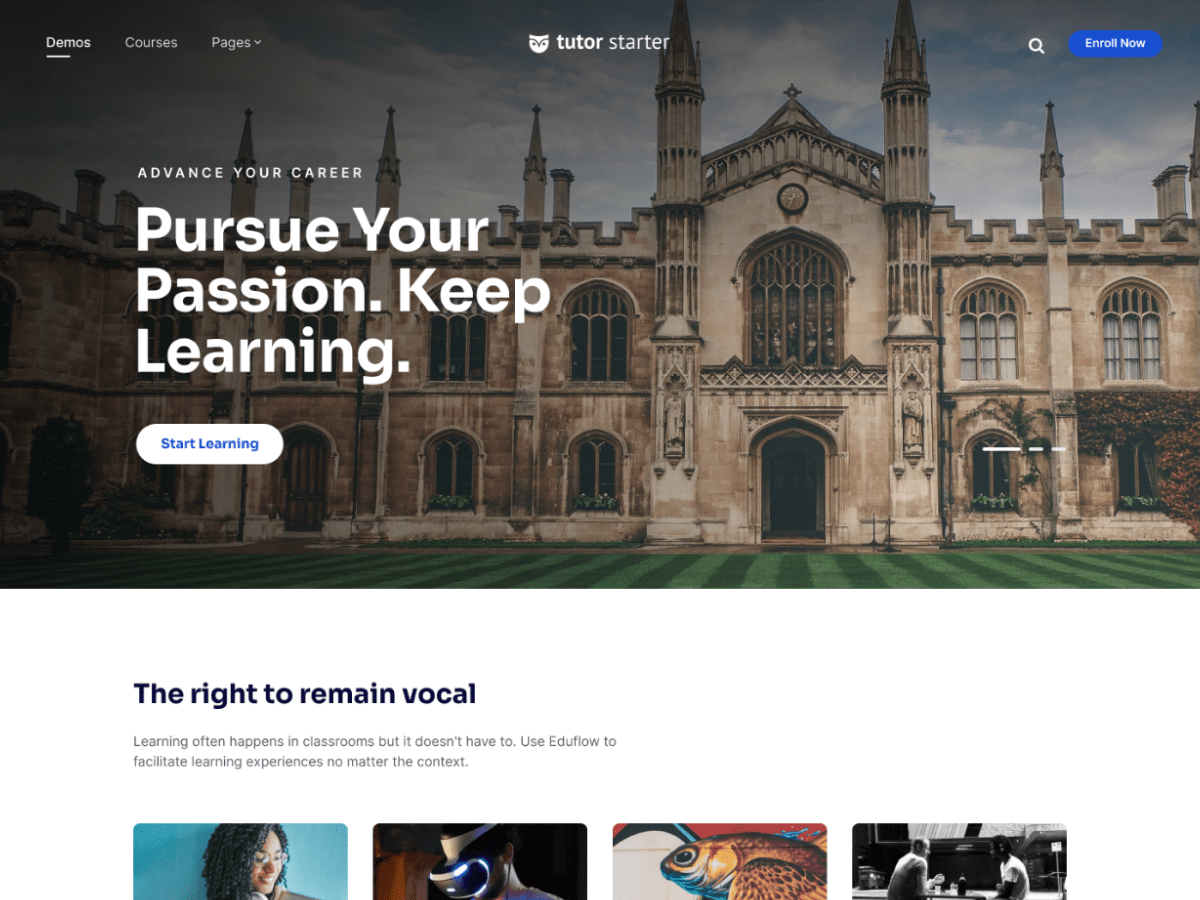 EduPress vs TutorStarter – Which Is the Best Free Education WordPress Theme? 9 TutorStarter