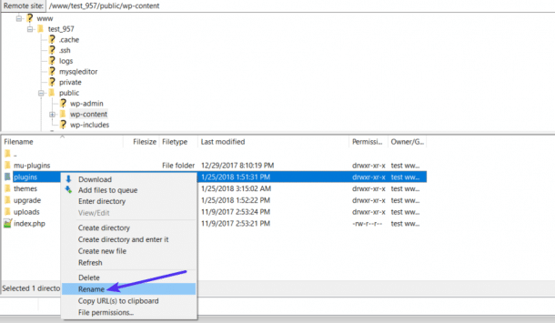 Rename Plugin Folder