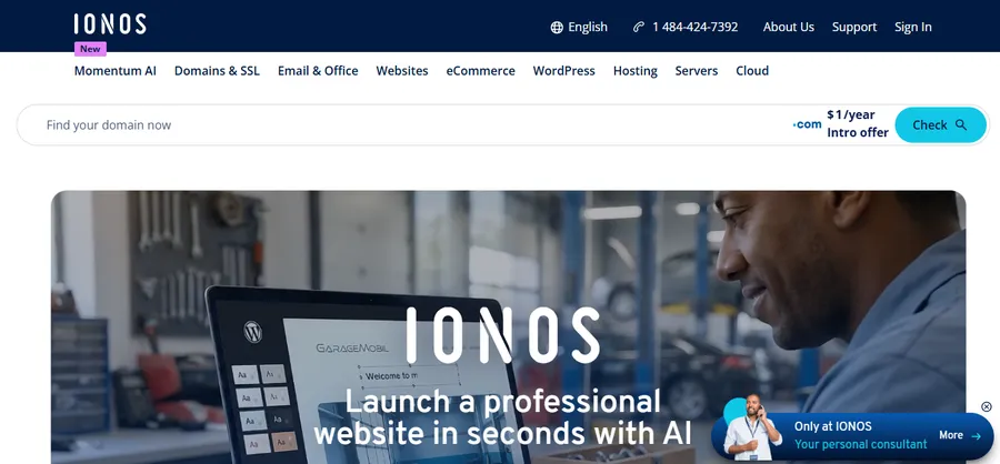 IONOS