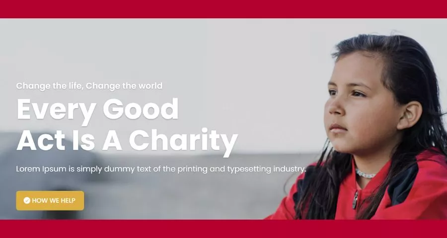 Best Non Profit Website Templates 15 Divi Charity Layout Pack