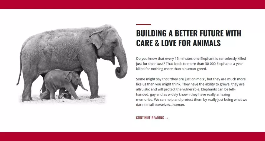 Best Non Profit Website Templates 18 Zeko Charity Theme